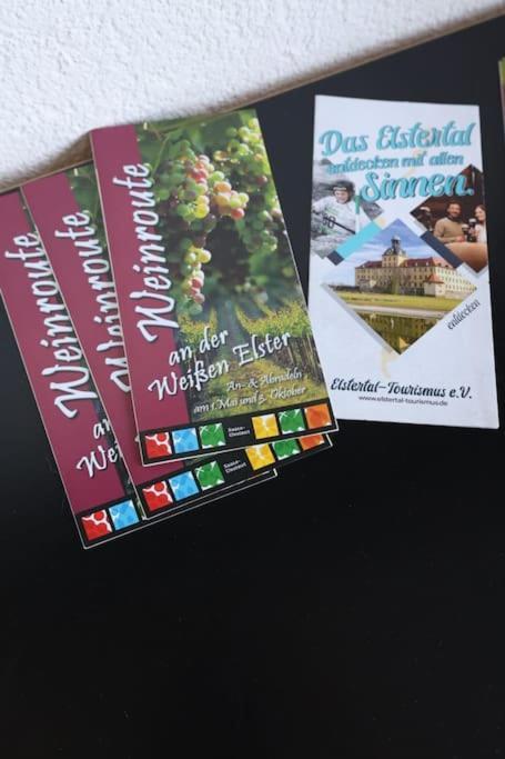 Ferienwohnung Weingut Lahmer August Kretzschau Экстерьер фото
